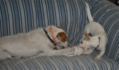 Enlarge photo 2