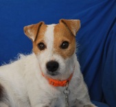 George ADOPTED :)