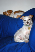 Enlarge photo 3