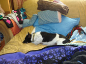 Enlarge photo 3