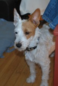 Enlarge photo 4