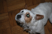 Enlarge photo 3
