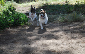 Enlarge photo 4