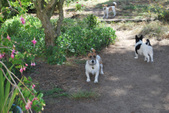 Enlarge photo 3