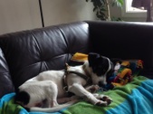 Max 