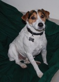 Silly ADOPTED :)