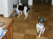 Enlarge photo 3