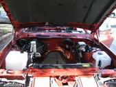 Enlarge photo 87