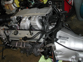 Enlarge photo 108