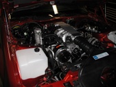 Enlarge photo 112