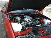 Enlarge photo 119