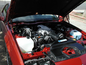 Enlarge photo 120