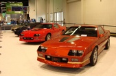 Enlarge photo 174