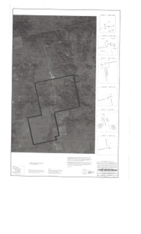 Enlarge photo 122
