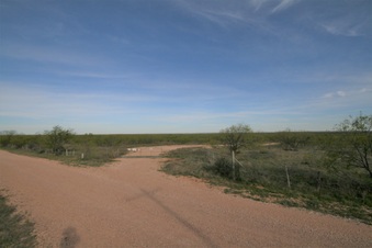 Enlarge photo 121