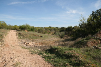 Enlarge photo 14