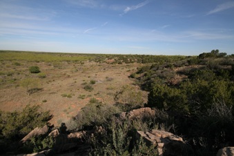 Enlarge photo 20