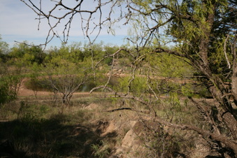 Enlarge photo 23