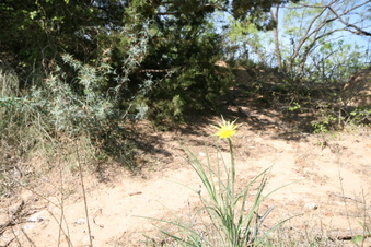 Enlarge photo 28