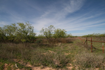 Enlarge photo 29