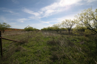 Enlarge photo 30