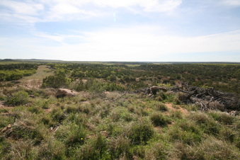 Enlarge photo 31