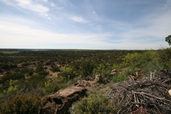 Enlarge photo 33