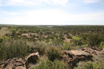 Enlarge photo 32