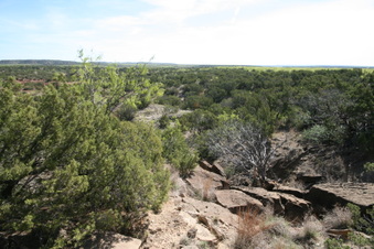 Enlarge photo 35