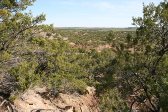 Enlarge photo 36