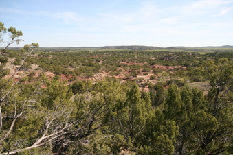 Enlarge photo 37