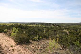 Enlarge photo 39