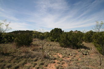Enlarge photo 40