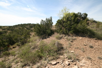Enlarge photo 41