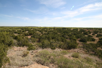 Enlarge photo 42