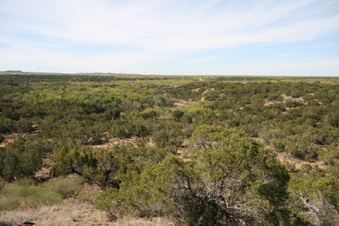 Enlarge photo 43
