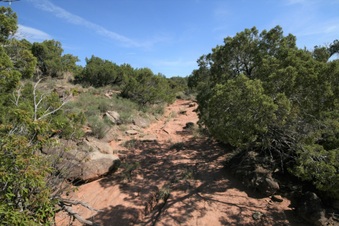 Enlarge photo 46