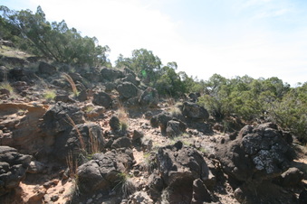 Enlarge photo 47