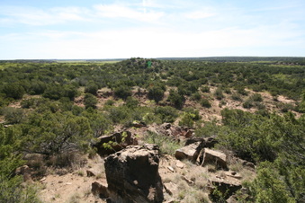 Enlarge photo 48