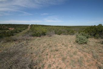 Enlarge photo 50