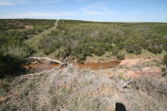 Enlarge photo 53