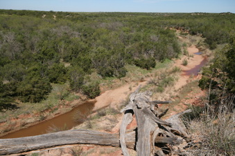Enlarge photo 52