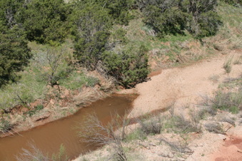 Enlarge photo 56