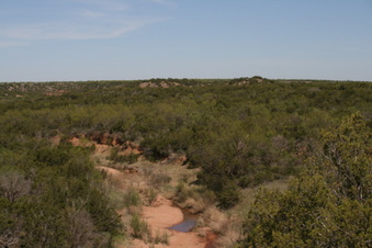 Enlarge photo 57