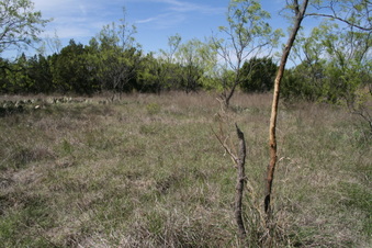 Enlarge photo 58