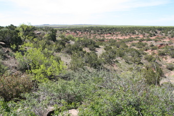 Enlarge photo 59