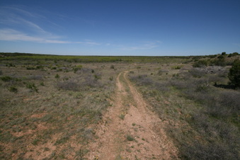 Enlarge photo 61