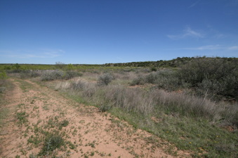 Enlarge photo 62