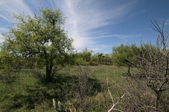 Enlarge photo 69