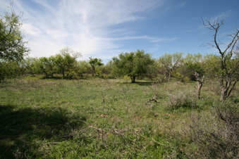Enlarge photo 70